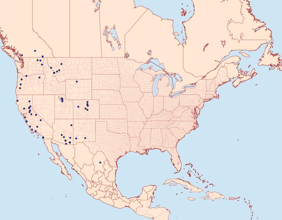 Distribution Data for Erynnis pacuvius