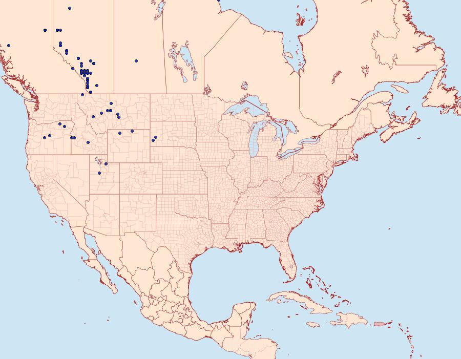 Distribution Data for Colias christina