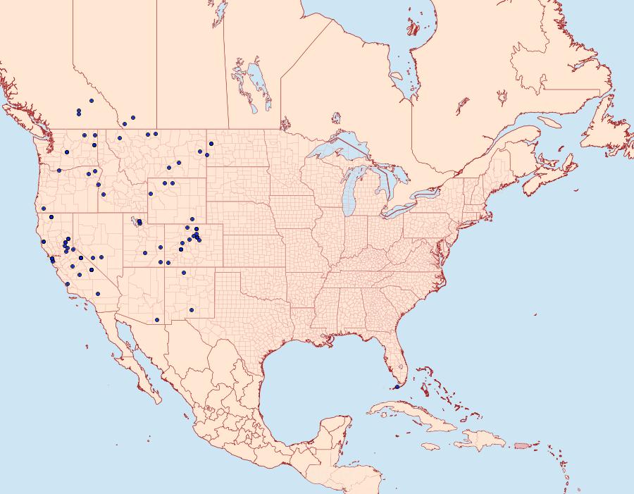 Distribution Data for Callophrys sheridanii