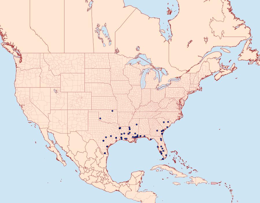 Distribution Data for Cryptothelea gloverii