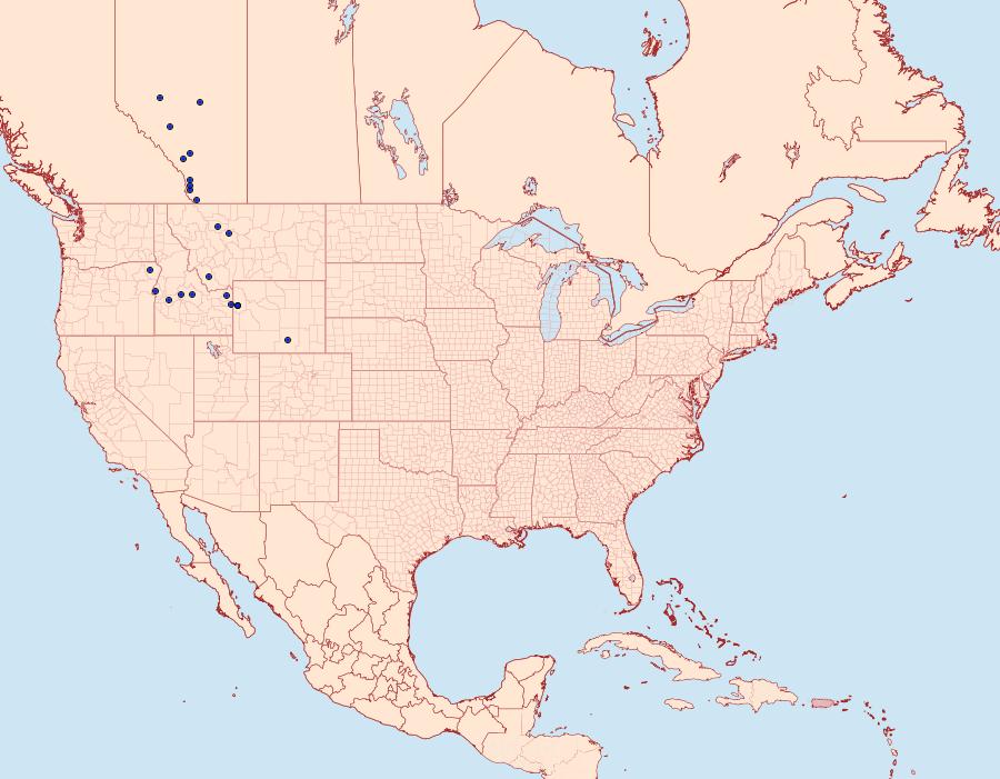 Distribution Data for Euphydryas gillettii