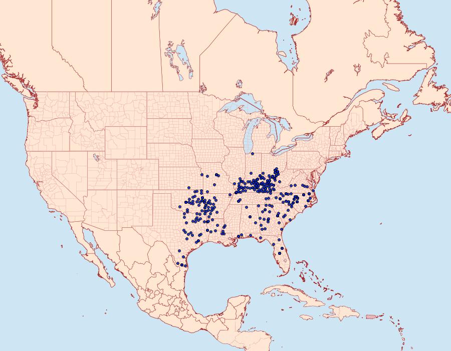 Distribution Data for Cyllopsis gemma
