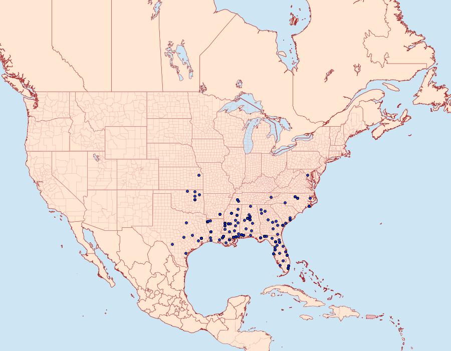 Distribution Data for Pselnophorus belfragei