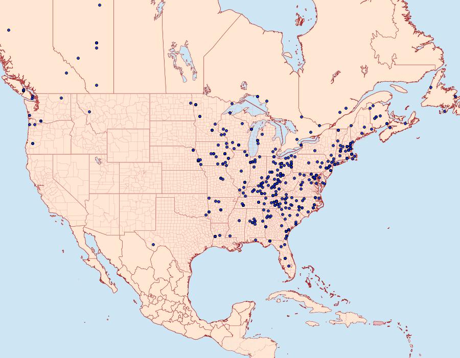 Distribution Data for Besma quercivoraria