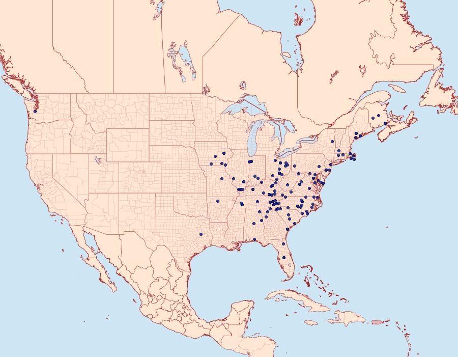 Distribution Data for Lambdina pellucidaria