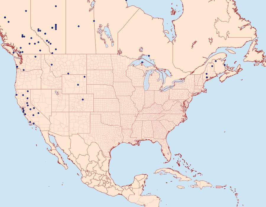 Distribution Data for Hydriomena furcata
