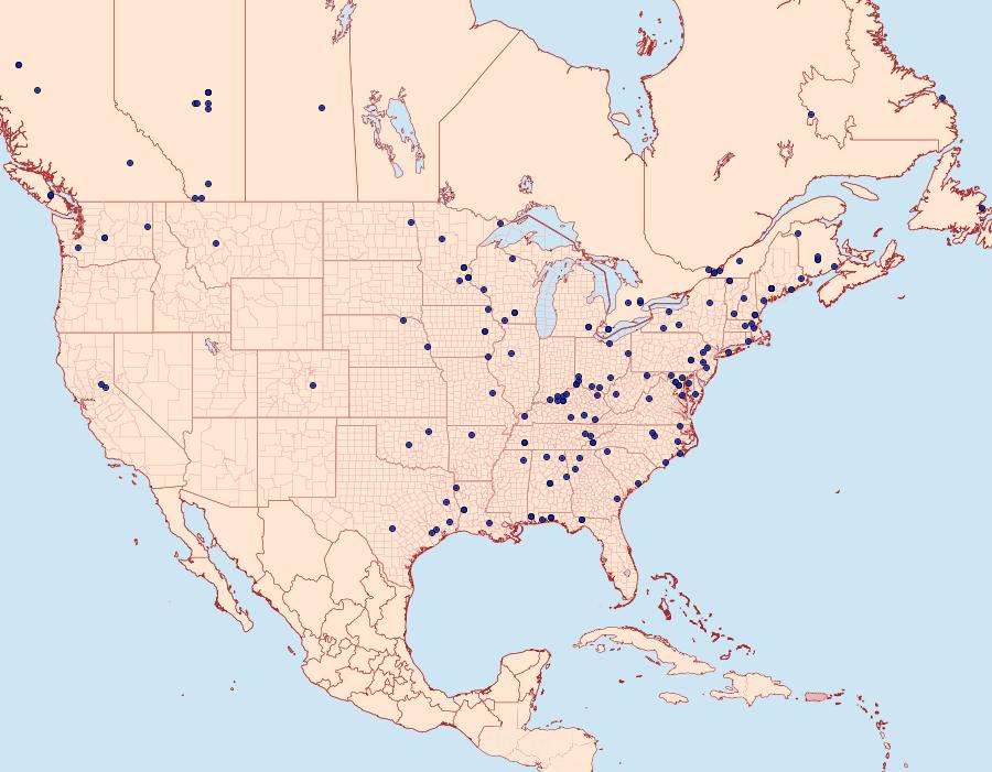 Distribution Data for Anticlea multiferata