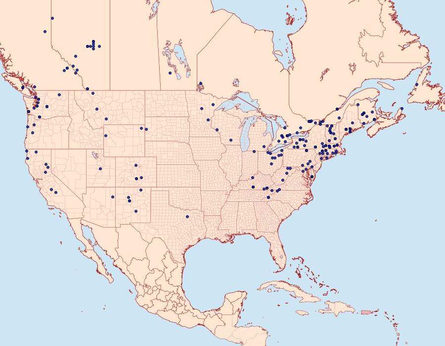 Distribution Data for Epirrhoe alternata