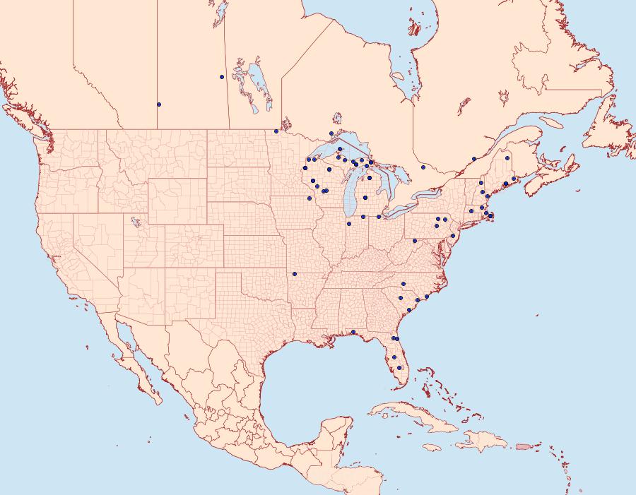 Distribution Data for Hemaris gracilis