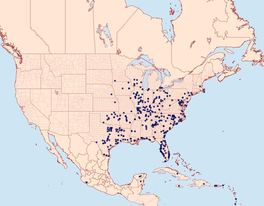Distribution Data for Xylophanes tersa