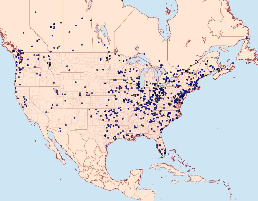Distribution Data for Spilosoma virginica