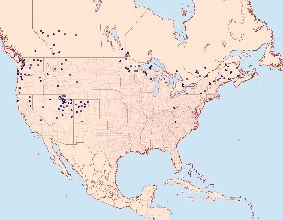 Distribution Data for Arctia caja
