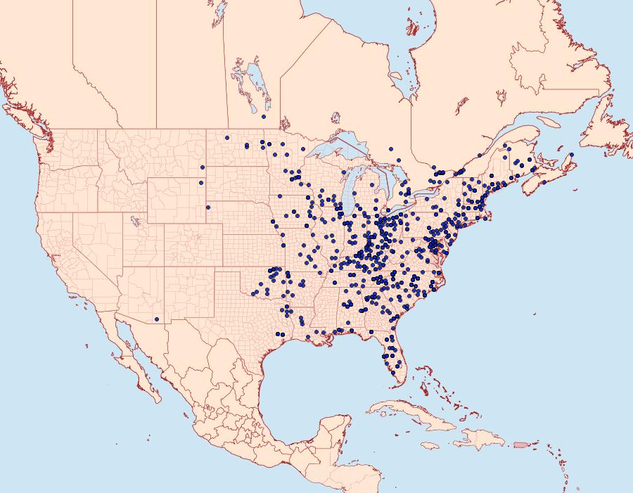 Distribution Data for Halysidota tessellaris