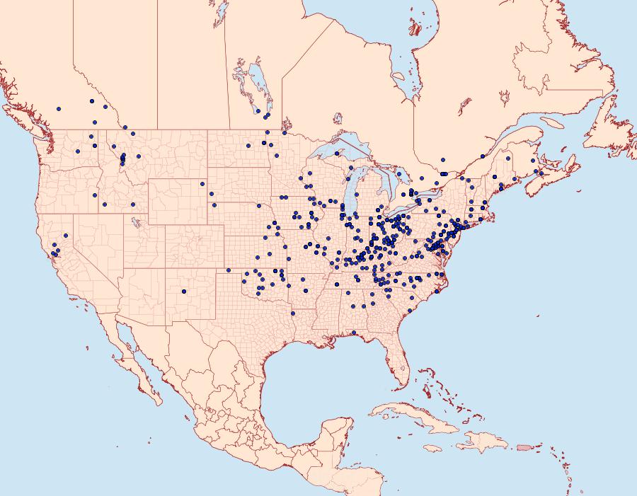 Distribution Data for Cycnia tenera