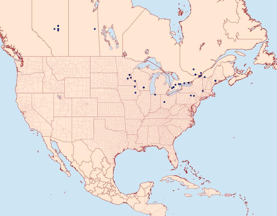 Distribution Data for Hypena atomaria