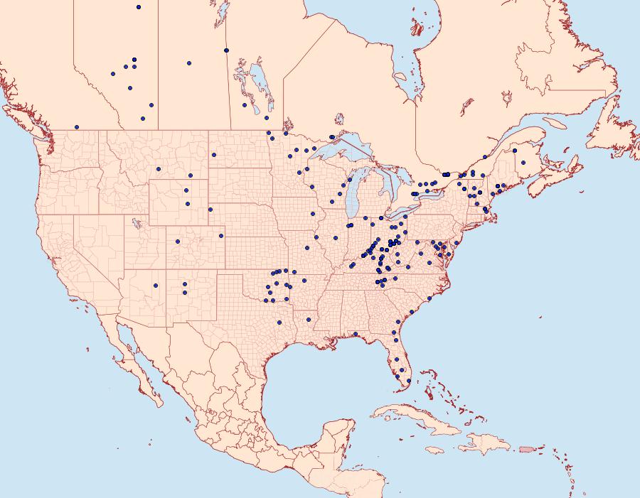 Distribution Data for Euclidia cuspidea
