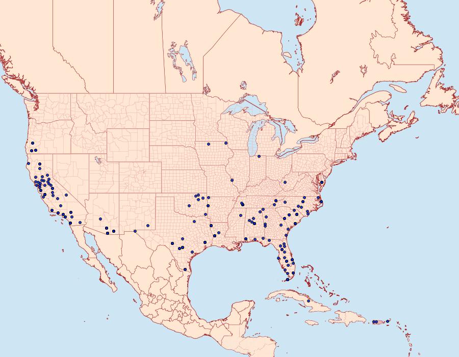 Distribution Data for Eublemma minima