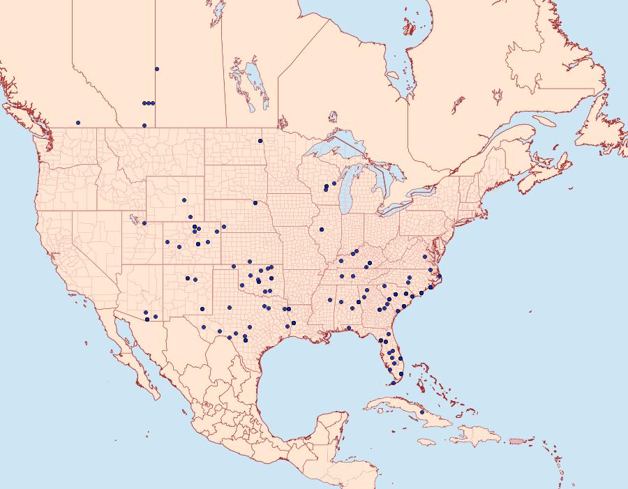 Distribution Data for Ponometia semiflava