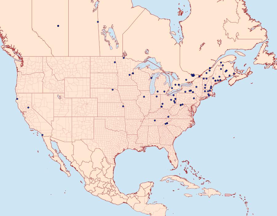 Distribution Data for Semioscopis packardella