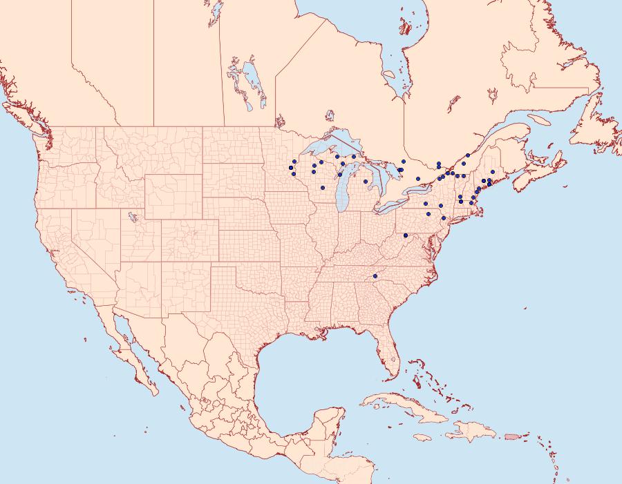 Distribution Data for Conservula anodonta