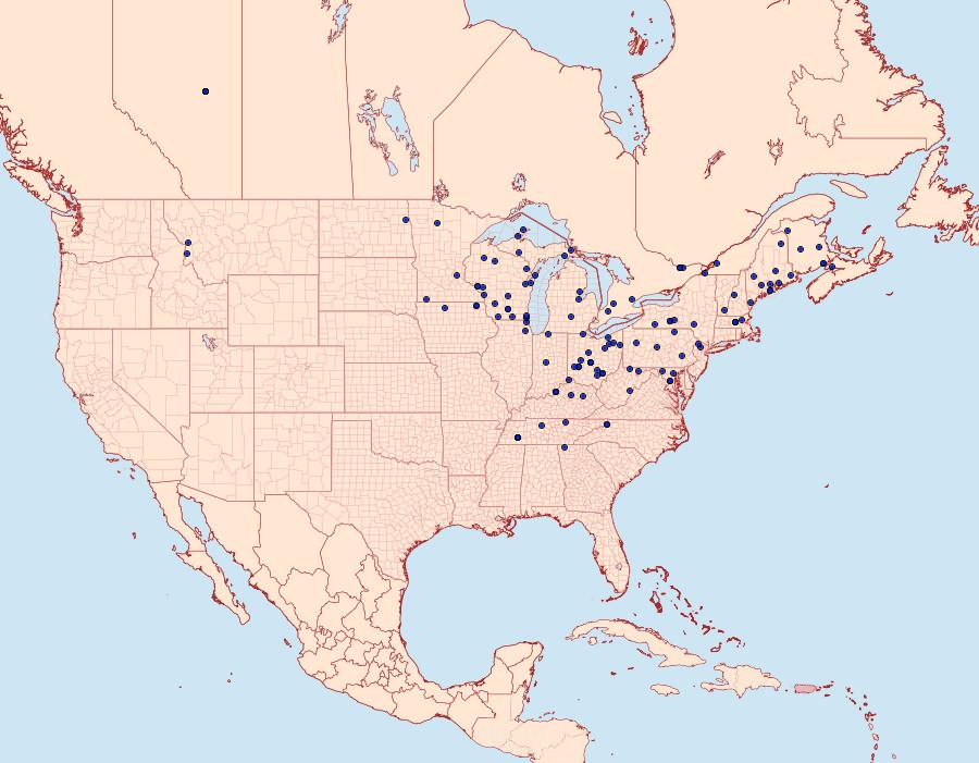 Distribution Data for Eupsilia devia
