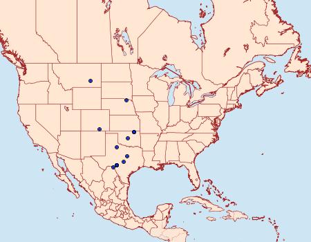 Distribution Data for Ethmia mirusella