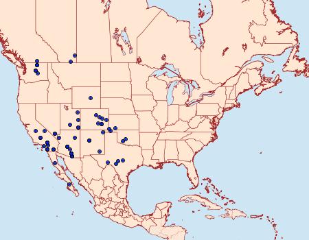 Distribution Data for Sympistis occata
