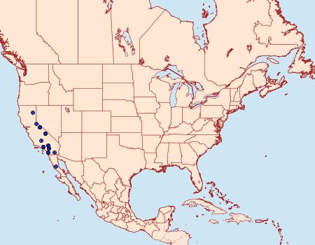 Distribution Data for Sympistis bakeri