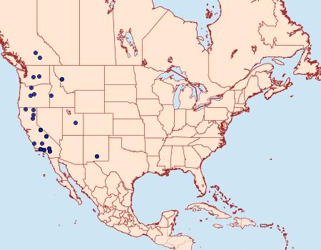 Distribution Data for Cucullia pulla