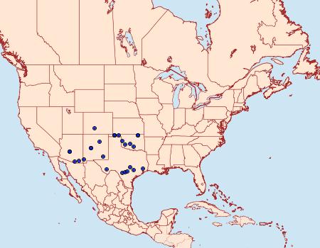 Distribution Data for Cucullia laetifica