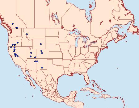 Distribution Data for Cucullia similaris