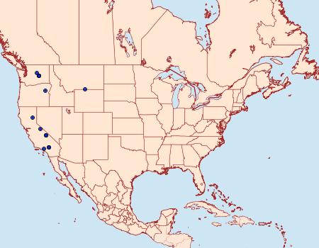 Distribution Data for Scotogramma stretchii