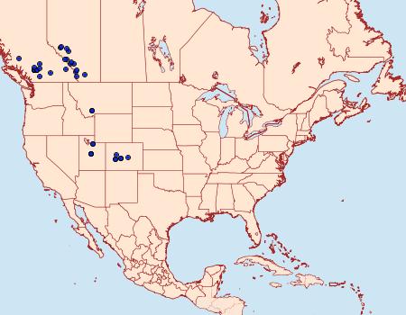 Distribution Data for Lasionycta promulsa