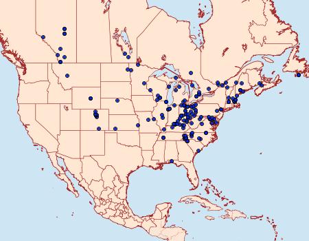 Distribution Data for Lacinipolia meditata