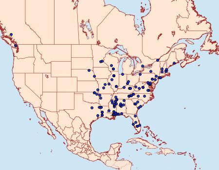 Distribution Data for Decantha boreasella