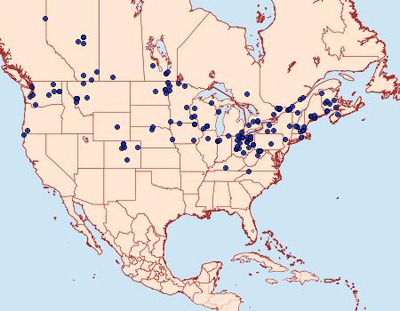 Distribution Data for Leucania commoides