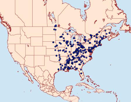 Distribution Data for Callima argenticinctella