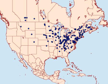 Distribution Data for Crocigrapha normani