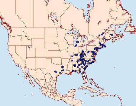 Distribution Data for Egira alternans
