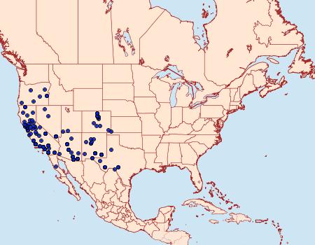 Distribution Data for Trichopolia alfkenii