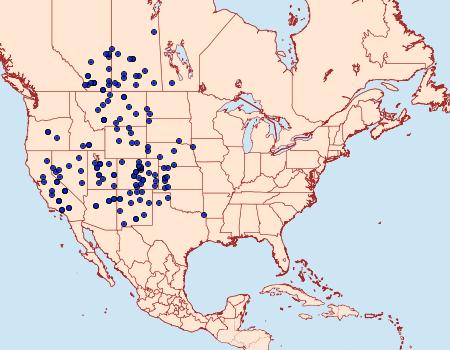 Distribution Data for Agrotis orthogonia