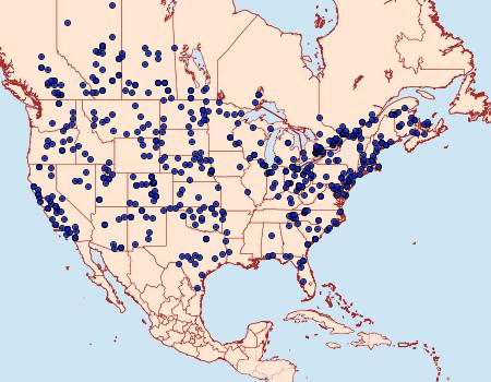 Distribution Data for Agrotis venerabilis