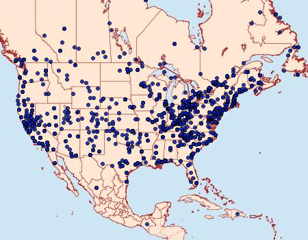 Distribution Data for Agrotis ipsilon