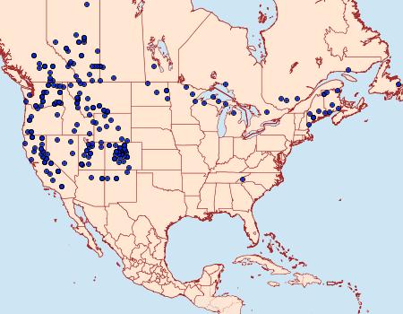 Distribution Data for Euxoa divergens