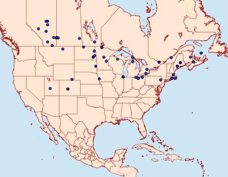 Distribution Data for Euxoa scandens