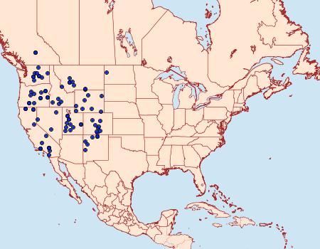 Distribution Data for Euxoa satiens