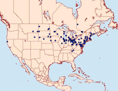 Distribution Data for Euxoa velleripennis