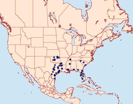 Distribution Data for Anicla simplicius
