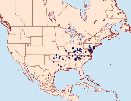 Distribution Data for Agnorisma bollii