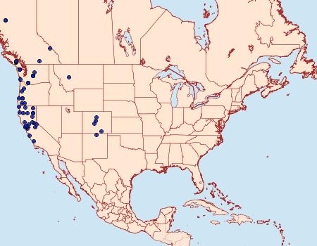 Distribution Data for Xestia mustelina